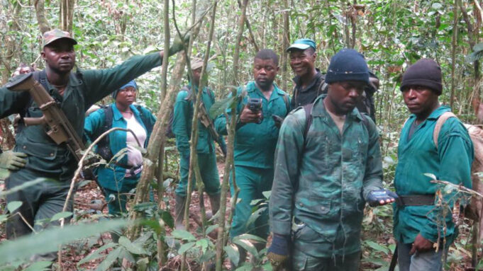 Forest Guards